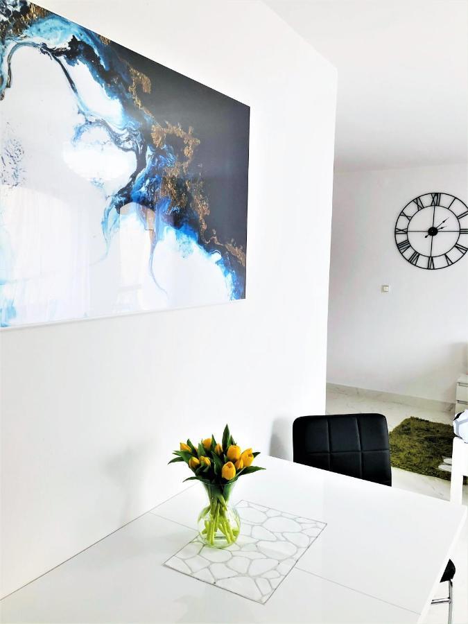 Kaliny Apartamenty Wanny Z Hydromasazem Chorzów Eksteriør billede
