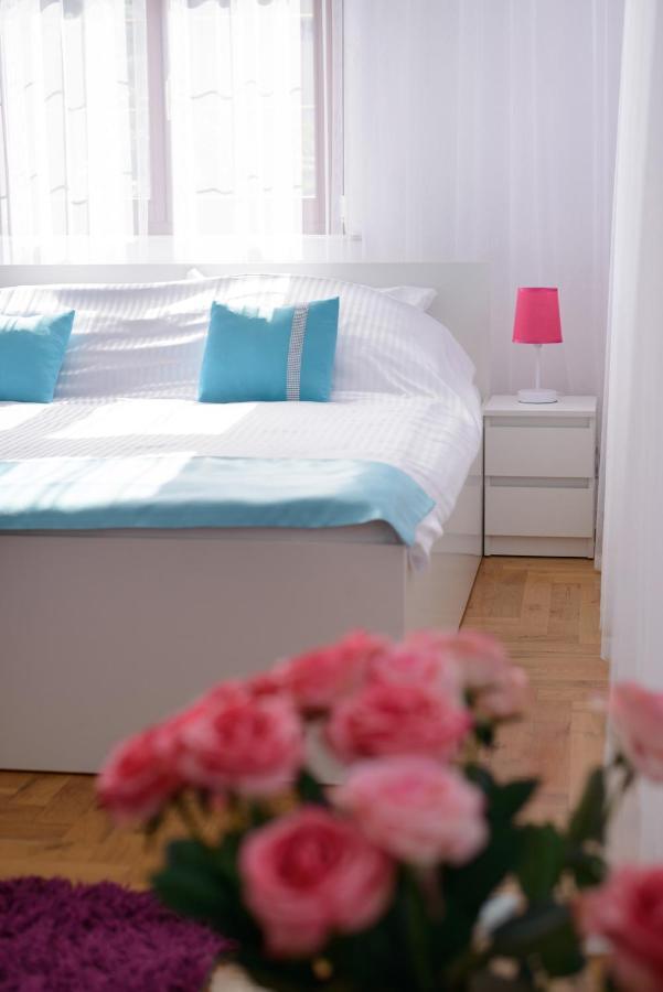 Kaliny Apartamenty Wanny Z Hydromasazem Chorzów Eksteriør billede